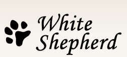 White Shepherd