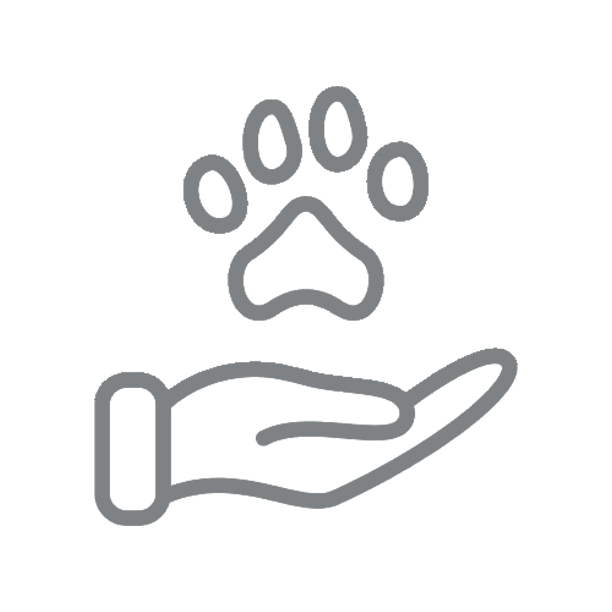 SOCIAL_icon